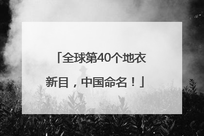 全球第40个地衣新目，中国命名！